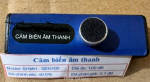 Cảm biến âm thanh