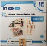 Video/clip/ phim tư liệu về thơ Nôm của Nguyễn Đình Chiểu