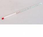 Nhiệt kế rượu